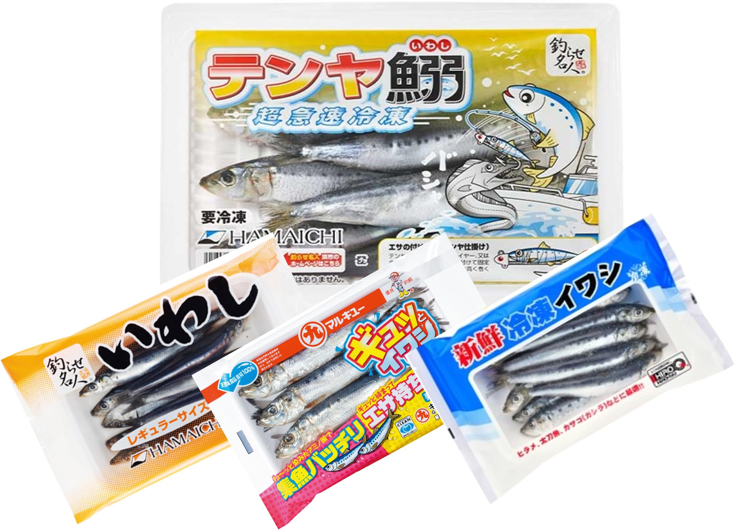 Amazon | 冷凍イワシ各種 各サイズ使い比べバラエティーセット 釣り